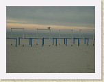 Cape May Beach 2 * 800 x 600 * (175KB)